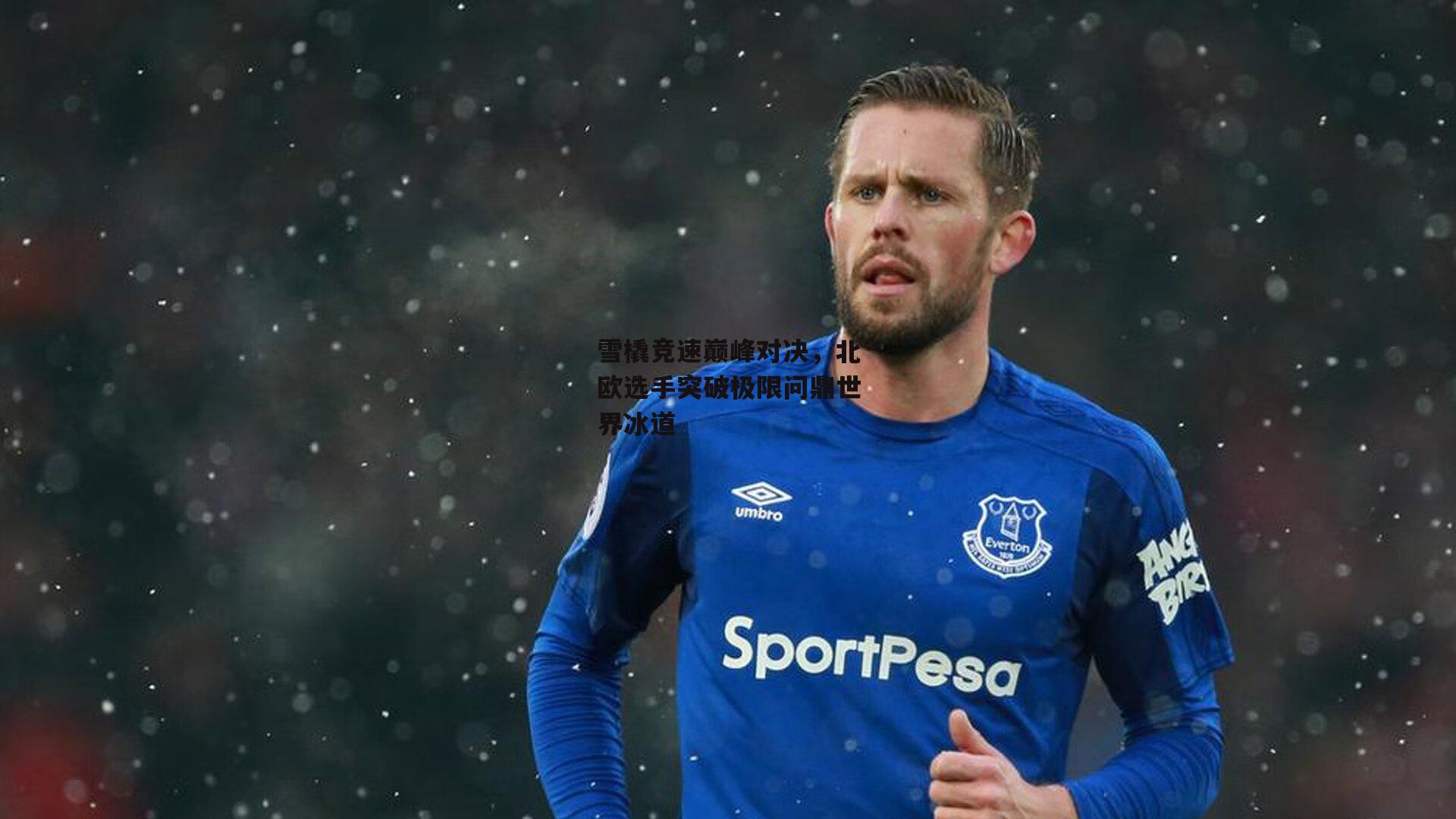 雪橇竞速巅峰对决,北欧选手突破极限问鼎世界冰道